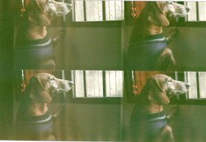 561044_4278326358254_1467981646_n