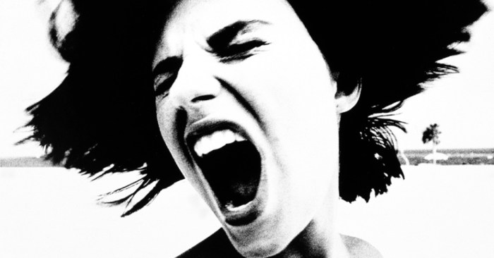 o-ultimo-grito-de-klaus-mitteldorf