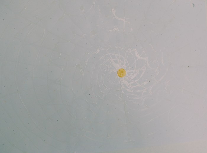 Processed with VSCO with c1 preset