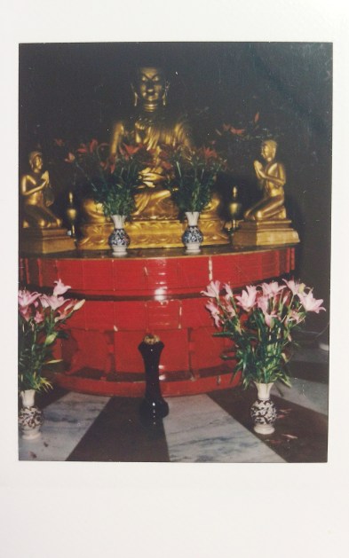 Processed with VSCO with  preset