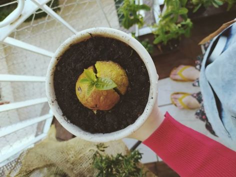 106457125_10223156090752493_2281370333166496234_o